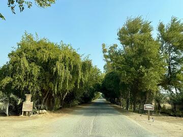 Heenat Salma Farm