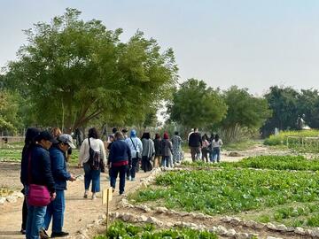 Heenat Salma Farm